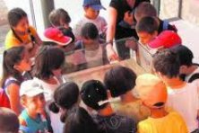 Actividades para niños -"Mi museo, mi libro" 