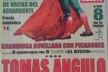 Grandiosa Novillada con Picadores 