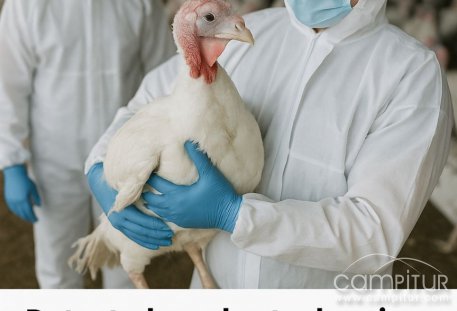 Detectado un brote de gripe aviar en una granja de pavos de Ahillones